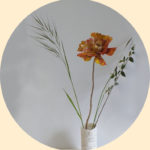 déco scandinave ou slow fleur de pavot et graminées ambiance cosy avec des soliflores de pavots